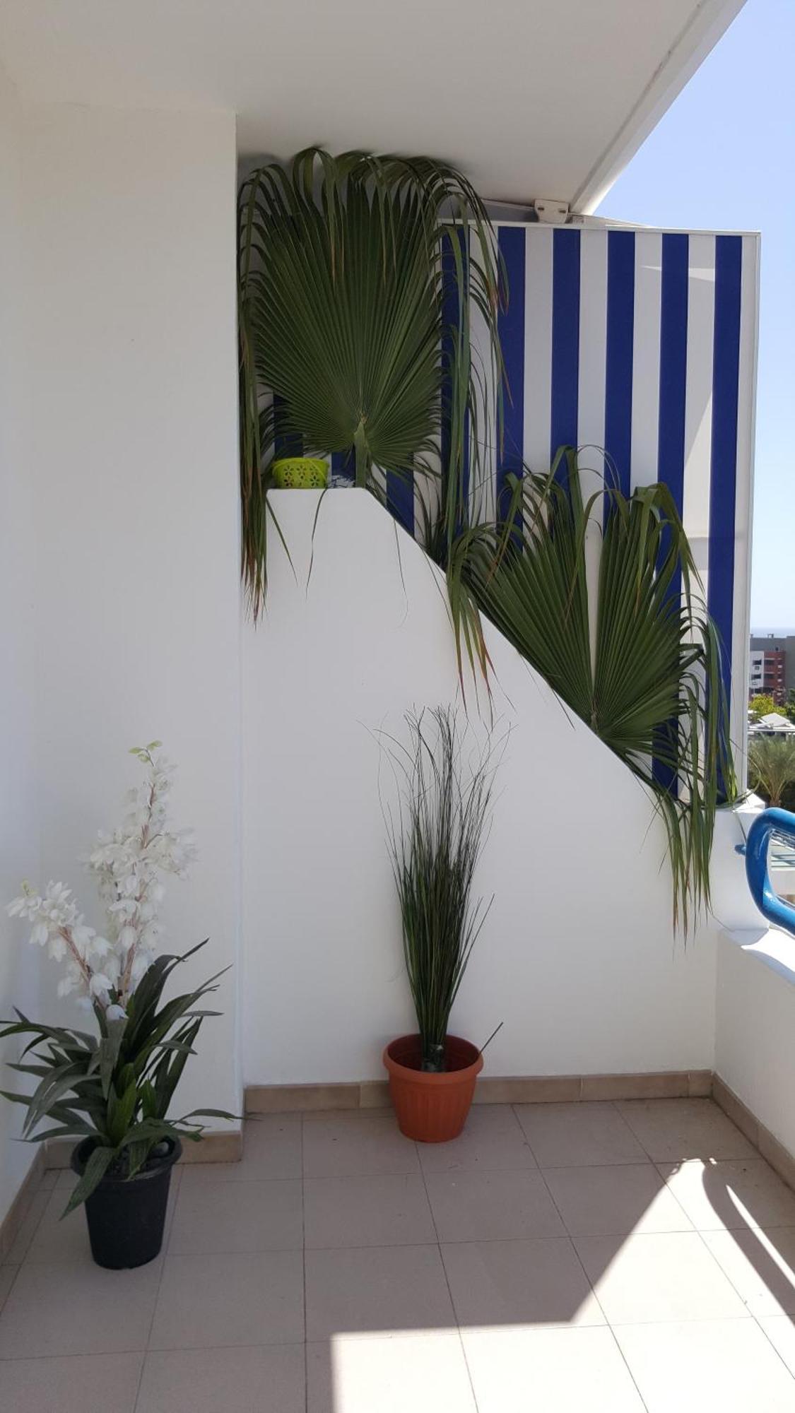 Paraiso Del Sur Playa Paraiso  Extérieur photo